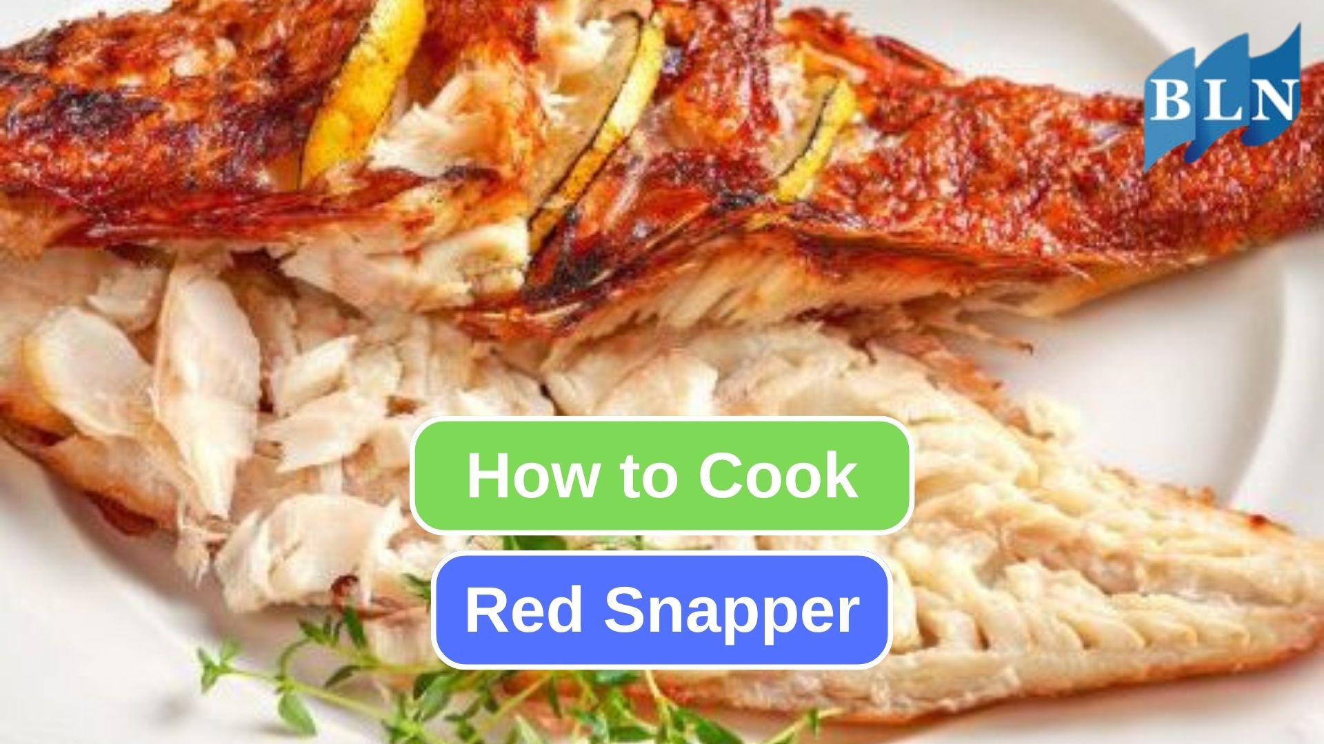 Here's What To Do with Red Snapper in Your Kitchen